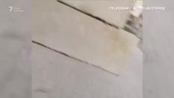 В Белгородской области появились мародеры В Белгородской области появились мародеры