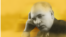Одна из последних фотографий Карима Тинчурина