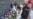 16x9 Image