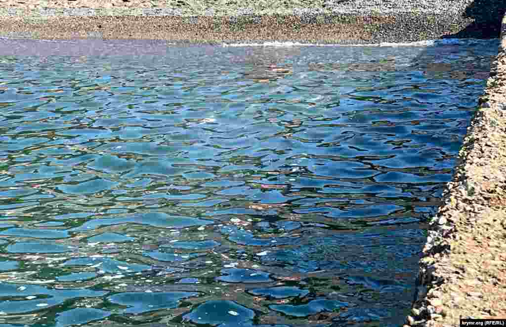 А есть пляжи с не совсем привлекательной на вид морской водой, Судак, Крым, начало августа 2024 г.
