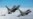 «Зеленый свет» для обучения на F-16. Что это значит для Украины?