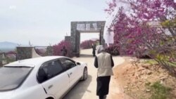پروان کې "ارغوان ګل" مشاعره کې يوازې نارينه شاعرانو ګډون وکړ پروان کې "ارغوان ګل" مشاعره کې يوازې نارينه شاعرانو ګډون وکړ