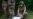 16x9 Image