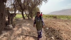 Қолабшикании “холаи тракторчӣ” дар Носири Хусрав Қолабшикании “холаи тракторчӣ” дар Носири Хусрав