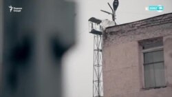 Ду мансабдор ба номуси духтарчаҳои ятим таҷовуз кардаанд Ду мансабдор ба номуси духтарчаҳои ятим таҷовуз кардаанд