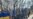 Россия и Украина сообщили об обмене пленными: 94 на 95
