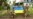 Украинские военные сообщили о взятии ещё двух сёл в ходе наступления