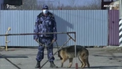 Суд над Навальным Суд над Навальным