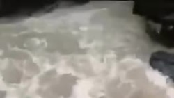 Наводнение в Приморье.Прорыв дороги в Хорольском районе.MP4 Наводнение в Приморье.Прорыв дороги в Хорольском районе.MP4