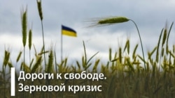Почему страны Центральной Европы останавливают ввоз украинского зерна? Почему страны Центральной Европы останавливают ввоз украинского зерна?