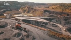 Экология и рост смертности Экология и рост смертности