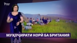 Тоҷике дар Британия: "Аз Русия аз замин то осмон фарқ мекунад"
 Тоҷике дар Британия: "Аз Русия аз замин то осмон фарқ мекунад"