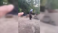 Муаллифи видеои Симиганҷро боздошт кардаанд
 Муаллифи видеои Симиганҷро боздошт кардаанд