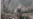 СБУ подтвердила личность военного с видео расстрела украинского пленного