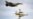 «Это серьезная победа Украины». Что говорят об эффективности F-16