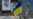 16x9 Image