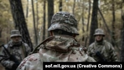 У складі ЗСУ Сили спеціальних операцій з'явились у 2016 році