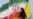What We Know About Iran's Fresh Street Rallies