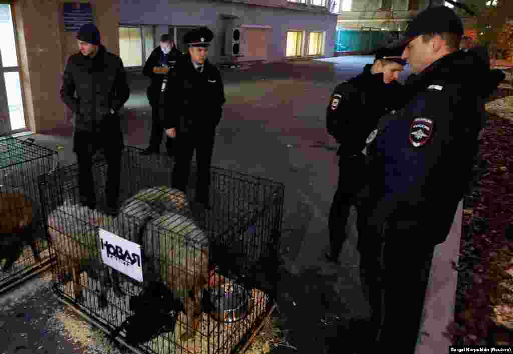 A sheep's head was also found near the office with a note threatening all reporters at the newspaper.