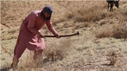 As Afghan Media Struggles Under Taliban, Jobless Journalists Grow Desperate As Afghan Media Struggles Under Taliban, Jobless Journalists Grow Desperate