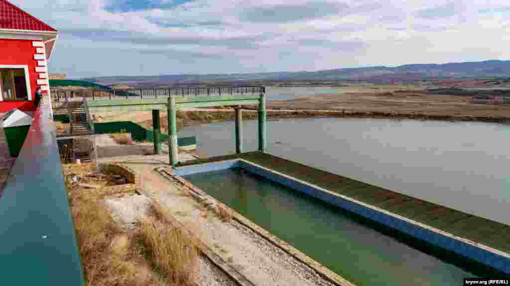 Вид на Тайганское водохранилище (на заднем плане) со смотровой парковой площадки «Гора обезьян»