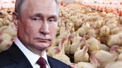 Лицом к событию. Странный Путин после Херсона Лицом к событию. Странный Путин после Херсона