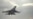 Иран получит на вооружение российские истребители Су-35