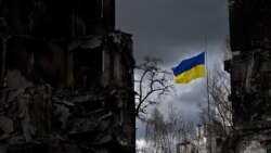 Стойкость Украины Стойкость Украины