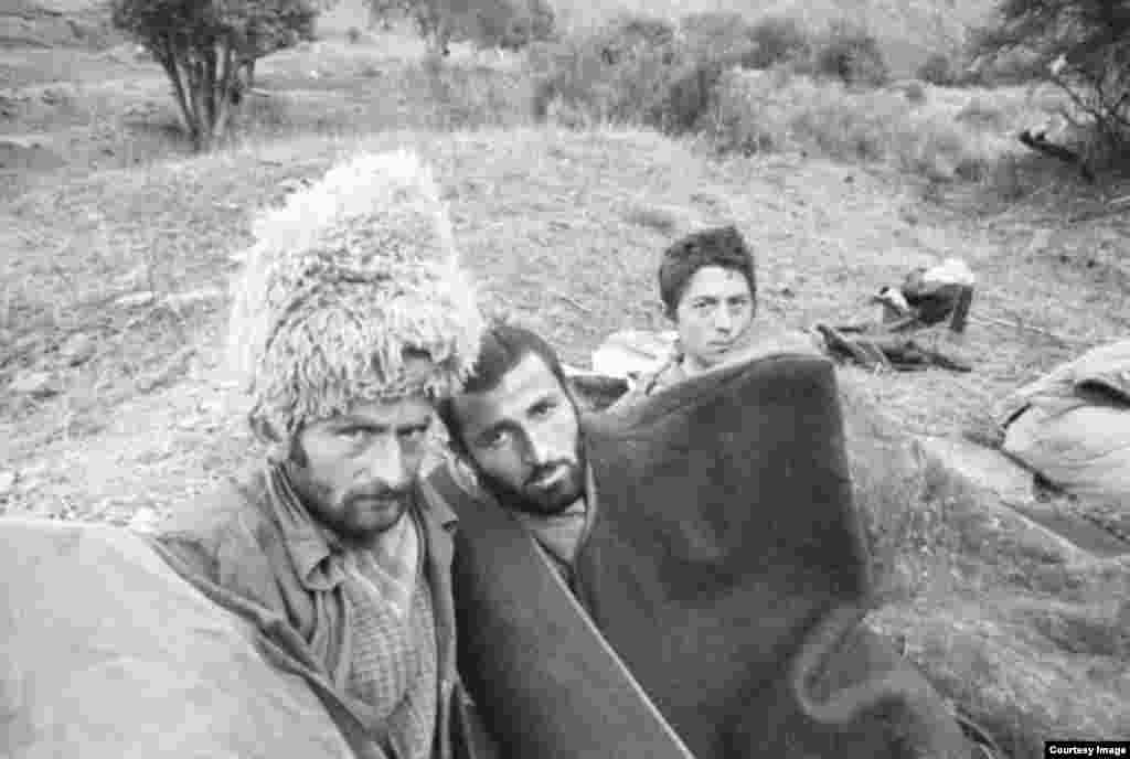 Сонные пастухи в Мелхистинском районе Чечни. 