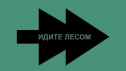 Время Свободы: "Не дайте их отправить под Курск". Проект "Идите лесом" обращается к родственникам срочников  Время Свободы: "Не дайте их отправить под Курск". Проект "Идите лесом" обращается к родственникам срочников