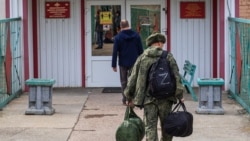 "Выкинули как собак"  "Выкинули как собак"