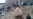 Afghans Say Extrajudicial Execution Was Un-Islamic