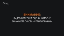Приют для животных в Харькове после обстрела Приют для животных в Харькове после обстрела