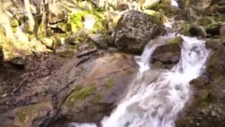Февральские струи крымского водопада Су-Учхан (видео) Февральские струи крымского водопада Су-Учхан (видео)