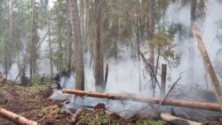 Тушение лесного пожара в республике Коми  Тушение лесного пожара в республике Коми