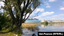 Цивилизация на острове Большой: труба, вырубка и мёртвый бобёр
