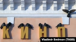 Голуби на вывеске кинотеатра