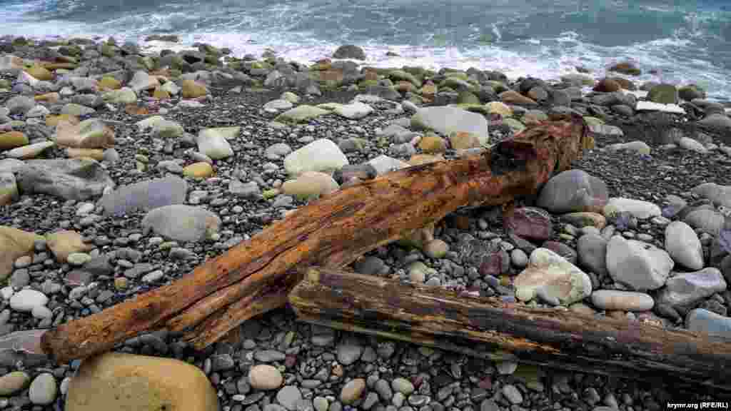Море успело изрядно отшлифовать аыброшенные на «нудисткий» берег бревна