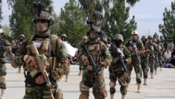 Taliban Turns Insurgents Into Commandos As It Builds 'Fully Capable' Army Taliban Turns Insurgents Into Commandos As It Builds 'Fully Capable' Army