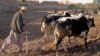 Charity Says Famine Possible In Afghanistan