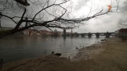 Чешские друзья Кремля (видео) Чешские друзья Кремля (видео)