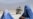 Senior Afghan Woman Official Killed