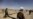 Kabul Launches Controversial Plan To Empower Militia Fighters As Police