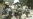 U.S., Iraqi Troops Launch Offensive Against Al-Qaeda