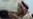 Former Iraqi Vice President Hanged