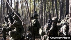 The training and operations of the Navy SEALS are top secret.