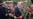 Putin, In Crimea, Hails Return Of Peninsula To 'Motherland'