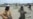 Foreign Forces Reportedly Attack Pakistani Village