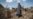 Earthquake Response Has Aftershocks In Iran