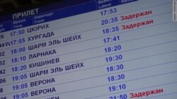 Они вернулись из Египта Они вернулись из Египта